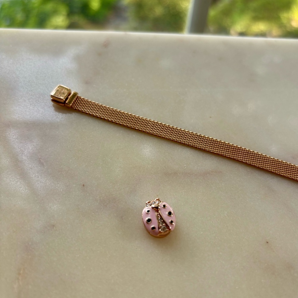Pandora Reflexions™ Pink Ladybird Clip Rose Charm